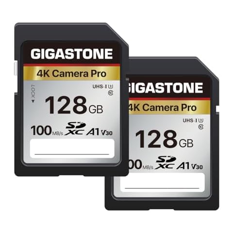 Gigastone SDXC 128 Go 4K Cover