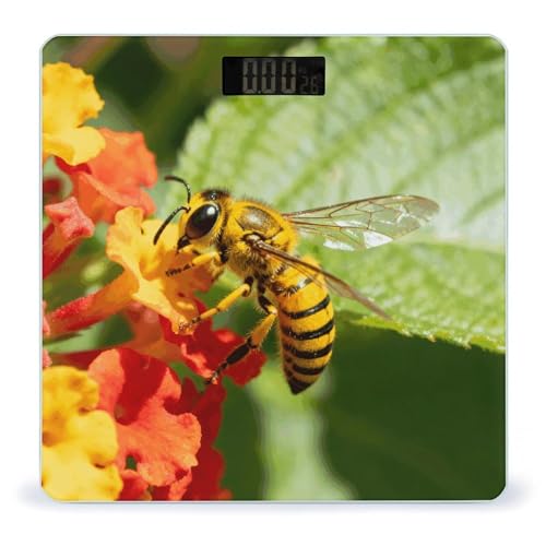 Báscula digital de baño Yellow Bee con pantalla LCD miniatura 1