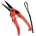 Price comparison product image Burgon & Ball Supersharp Foot Shears Serrated