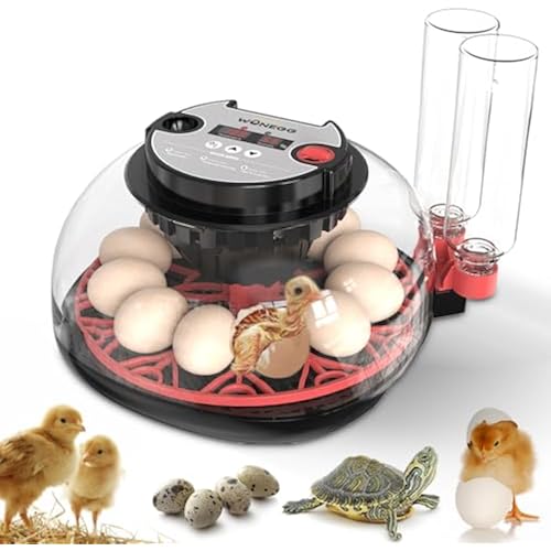 incubators for hatching eggs，12 Egg Incubator,egg incubator with automatic egg turning and humidity control，incubator for chicken eggs，chicken incubators for hatching eggs，egg incubator
