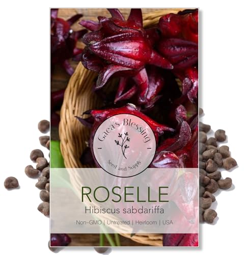 Gaeas Blessing - Roselle Seeds - Non-GMO Jamaican Sorrel Seeds with Easy to Follow Planting Instructions (Hibiscus sabdariffa)