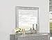 Coaster Furniture Mirror Metallic Mercury 204924