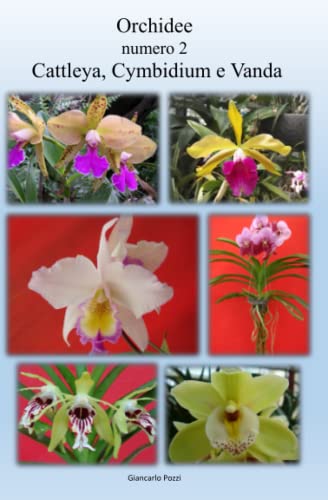 orchidee: N° 2 Cattleya, Cymbidium e Vanda