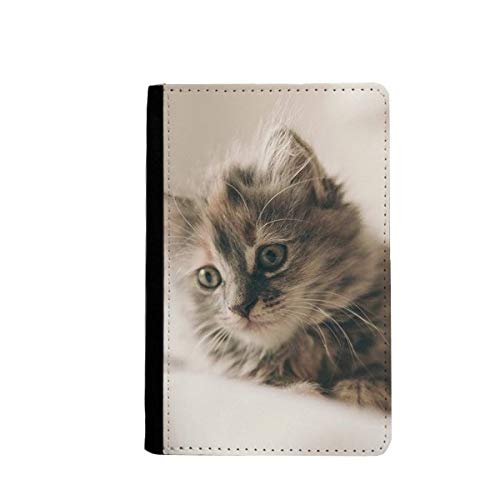 Porte-passeport chat gris pour ne plus perdre vos cartes d'identité