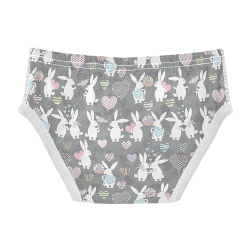 Boys' Exclusive Briefs Toddler Underwear 95% Combed Cotton Boxerbriefs 2T Bunny and Heart Pattern 92