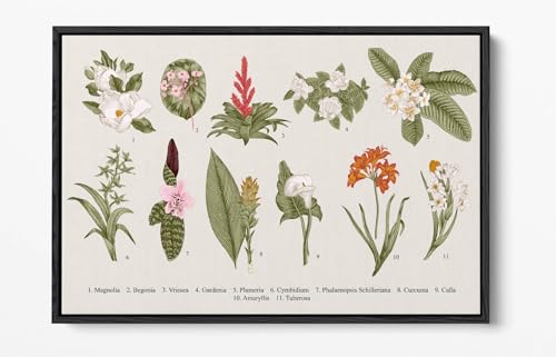 Illustration botanique florale sur toile déco murale grand format 76,2 x 50,8 cm cadre noir - 2