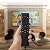 (Pack of 2) Remote Control for All Samsung Smart TVs. Replacement for All 2016-2025 Samsung TV Remotes. No Voice Control. 1-Year Full Warranty.