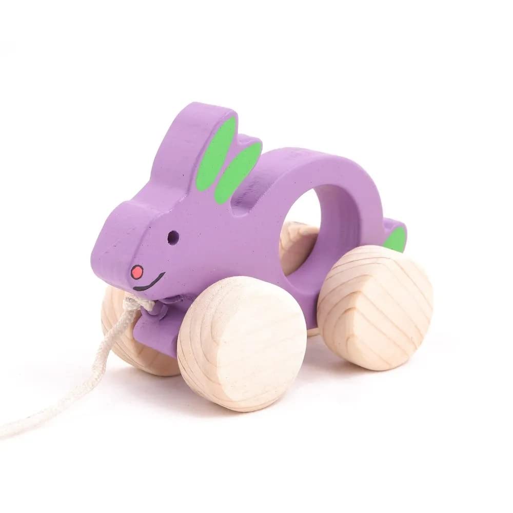 AMRAD® Wooden Rabbit Push Toy for Kids. Multi Colour Wooden Toy for Kids