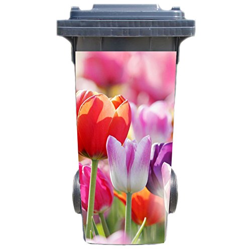 Werbetechnik Jeziorski Mülltonnenaufkleber Motiv Cover