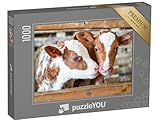 puzzleYOU