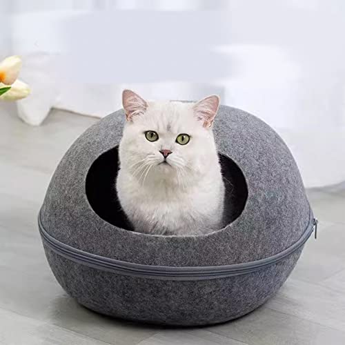 pets best indoor cat homes your feline friends will love