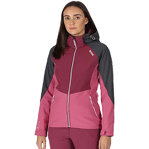 Regatta Damen Softshelljacke DeSoto VIII SlGry/AmarHz - 46