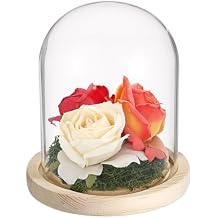 Hipiwe Glass Display Dome Cloche with Wood Base Clear Glass Display Bell Jar Decorative Flower Display Dome for Plants, Figure, Antique Collectibles, 4.5 x 6.1 Inches