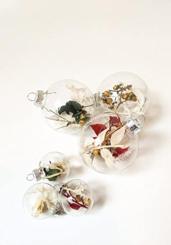 LALOVLIY Weihnachtskugel Set l 6 Weihnachtskugeln mit Trockenblumen l Handgemacht & Hochwertig l Weihnachtsdekoration mit Trockenblumen l Dekoration für den Weihnachtsbaum Cover