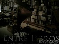 Entre libros (Artes Visuales) 9685893624 Book Cover