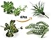 Voxm Artificial Succulent Plants for Office and Home Decor at Indoors and Outdoors | 4 Large Size Fake Succulents without Pot and Livable at Pot or Unpotted.