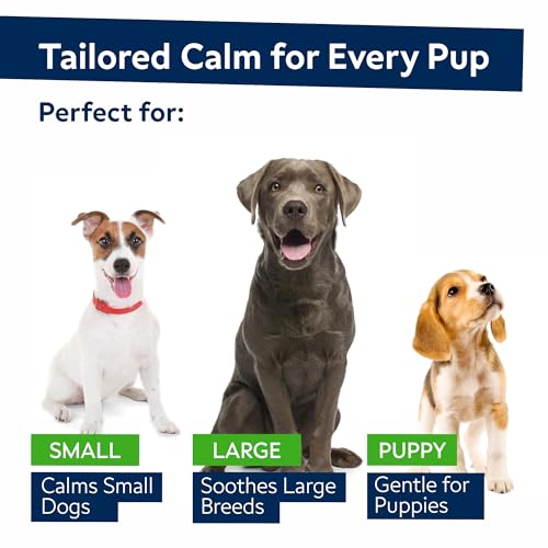 STRELLALAB Vet Formulated Hemp Calming Chews for Dogs – Anxiety Relief Calming Treats – Advanced Melatonin Pet Calm – Natural Sleep Aid & Stress, Separation Anxiety Relief – 120 Treats – Bacon STRELLALAB Vet Formulated Hemp Calming Chews for Dogs – Anxiety Relief Calming Treats – Advanced Melatonin Pet Calm – Natural Sleep Aid & Stress, Separation Anxiety Relief – 120 Treats – Bacon