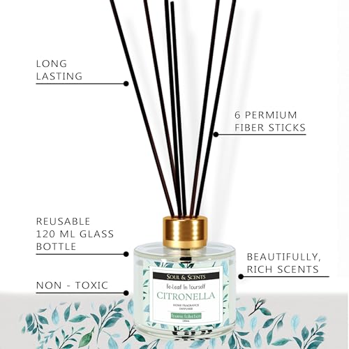 Image of Soul & Scents Citronella Reed Diffuser Set - 120ml with Free 6 Fiber Reed Sticks Each | Toxin Free & Stress Relief | Long Lasting | Smoke Less Room Freshener for Home, Bedroom & Office | Pack of 2