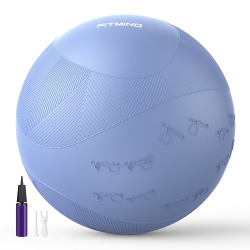 Image of Extra Thick Yoga Ball with Training Instruction, Anti-Burst Slip Resistant Exercise Ball with Pump for Pilates,Physical Therapy,Pregnancy Stability,Birthing Ball 22in 26in 30in