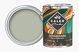 Caleo Color