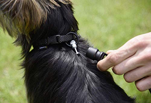GOLEYGO Hundeleine Flat, Schwarz, Größe M 1,4-2m, Sicherer Magnetverschluss, Inkl. Adapter-Pin, Hundeleine für kleine & große Hunde bis 60kg, Maximale Belastung 200kg