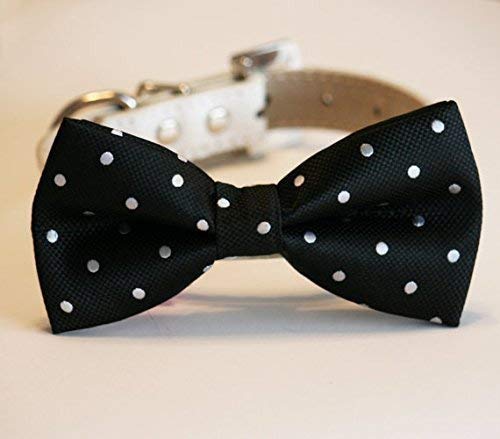 dog bow ties amazon