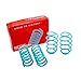 Godspeed LS-TS-FD-0010-A Traction-S Performance Lowering Springs For Ford Fusion S/SE/SPORT/TITANIUM 2013-20