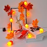 Sunshine smile Cadena de luces de otoño, 1,5 metros, 10 LED, bellota, calabaza, hoja de arce, funciona con pilas, decoración de otoño, decoración LED para Acción de Gracias, Halloween Party