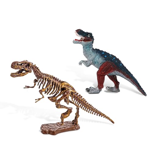 Piano Potato Dinosaur Dig Kit for Kids, Tyrannosaurus Rex Fossil Excavation Science Set with Full Tools, 3D Skeleton Puzzle Assembly, STEM Archaeology Educational Craft Toys, Gift for Boys Girls 6+ - Image 3