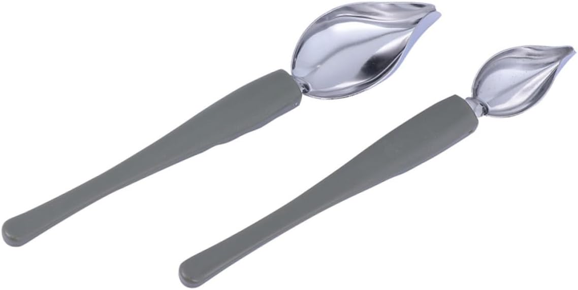2 Pcs Stainless Steel Saucier Spoon for Cake Decoration