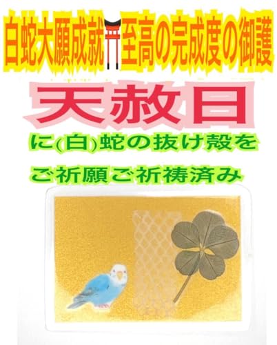 ь܂t\񊱎xւ̔kւ̂yV͓Fς݁zAA T