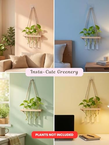 Image of Hanging Planter Set of 2 with Wooden Holder & Rope | 6 Test Tube Hanging Planter For Indoor | Wooden Planter for Home Decor, Living Room, Balcony & Office Decoration