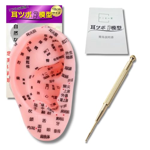 ikomaido 耳 模型 耳ツボ 耳つぼ 耳つぼジュエリー 3点セット 模型 13cm 18cm スティック 耳つぼシール 耳ツボシール セルフケア (18cm)