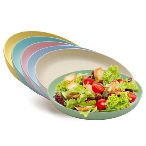 HENGBIRD Camping Teller Set 23cm - 6 Qualitäts Kunststoffteller für Kinder, Salat, Pasta und Party - Spülmaschinenfest
