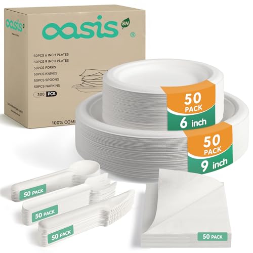 300PCS Disposable Dinnerware Set for 50 Guests