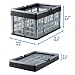 Grizzly kleine Klappbox faltbar mit Henkel, 2er Set, grau, je 16 L, Faltbox nutzbar als klappbarer Einkaufskorb und Kofferraum Organizer