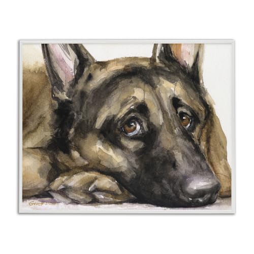 German Shepherd Resting Head on Paw, 16 x 20 Inch Framed Giclée Print