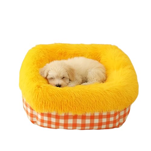 [mocoly]y[^Lxbh/pnEXz~ hNbV EJo[ Ngp vCx[g ݌v F L 50cm×50cm×20cm