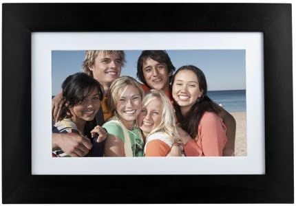 Panimage PI9001DW 9-Inch Digital Picture Frame (Black)