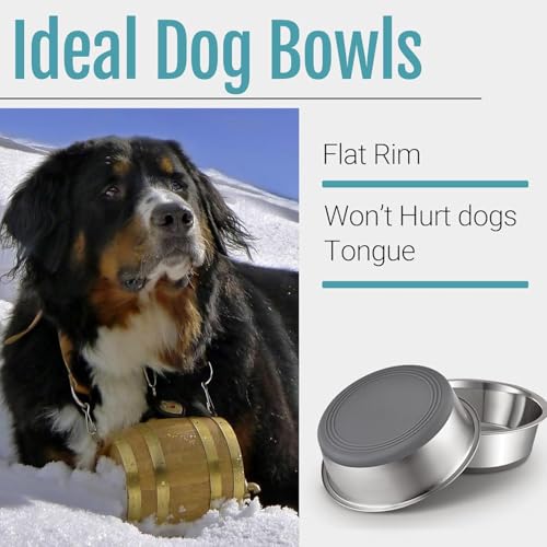 4 Stück Hundenapf Edelstahl, Hundenapf rutschfest mit Silikonboden, Hundenäpfe für Futter und Wasser, Hundeschüssel für Kleine Mittlere Große Hunde, Fressnapf Hund Metall, Dog Bowl (900ML)