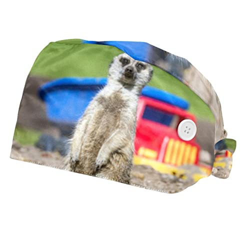 Chapeaux bouffants suricate pour la cuisine et le laboratoire avec bandeau frontal
