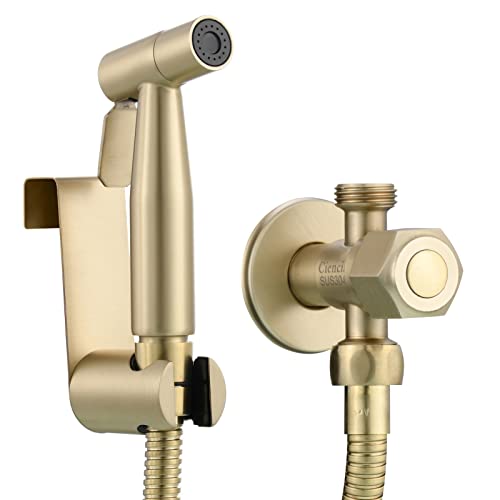 Tecmolog Grifo Pulverizador de Bidé de Agua Fría Kit Ducha Bidet Inodoro Acero Inox con Manguera y Soporte para Higienica, Oro Cepillado, WS024J2F3