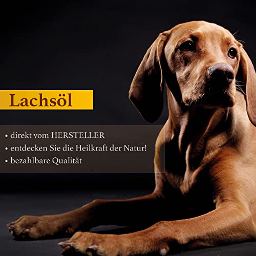 Naturzade Lachsöl 3 Liter (3X 1L) Dosierflasche für Hunde & Pferde mit Omega 3 und Omega 6 Fettsäuren, Fischöl Barföl