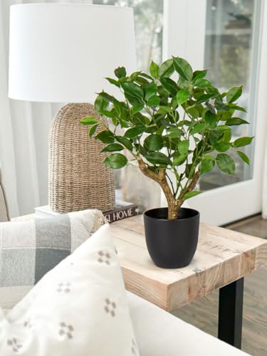 Briful 43CM Kunstpflanze Wie Echt Künstliche Ficus Pflanzen in Schwarzem Topf Dekopflanze für Fensterbank Wohnzimmer Badezimmer Dekoration – Bild 6