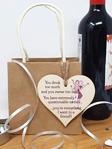 The Plum Penguin Handmade Wooden Hanging Heart Plaque Gift You're everything I want in a friend novelty alcohol funny window wall hanger absent friends friendship keepsake - Image 4