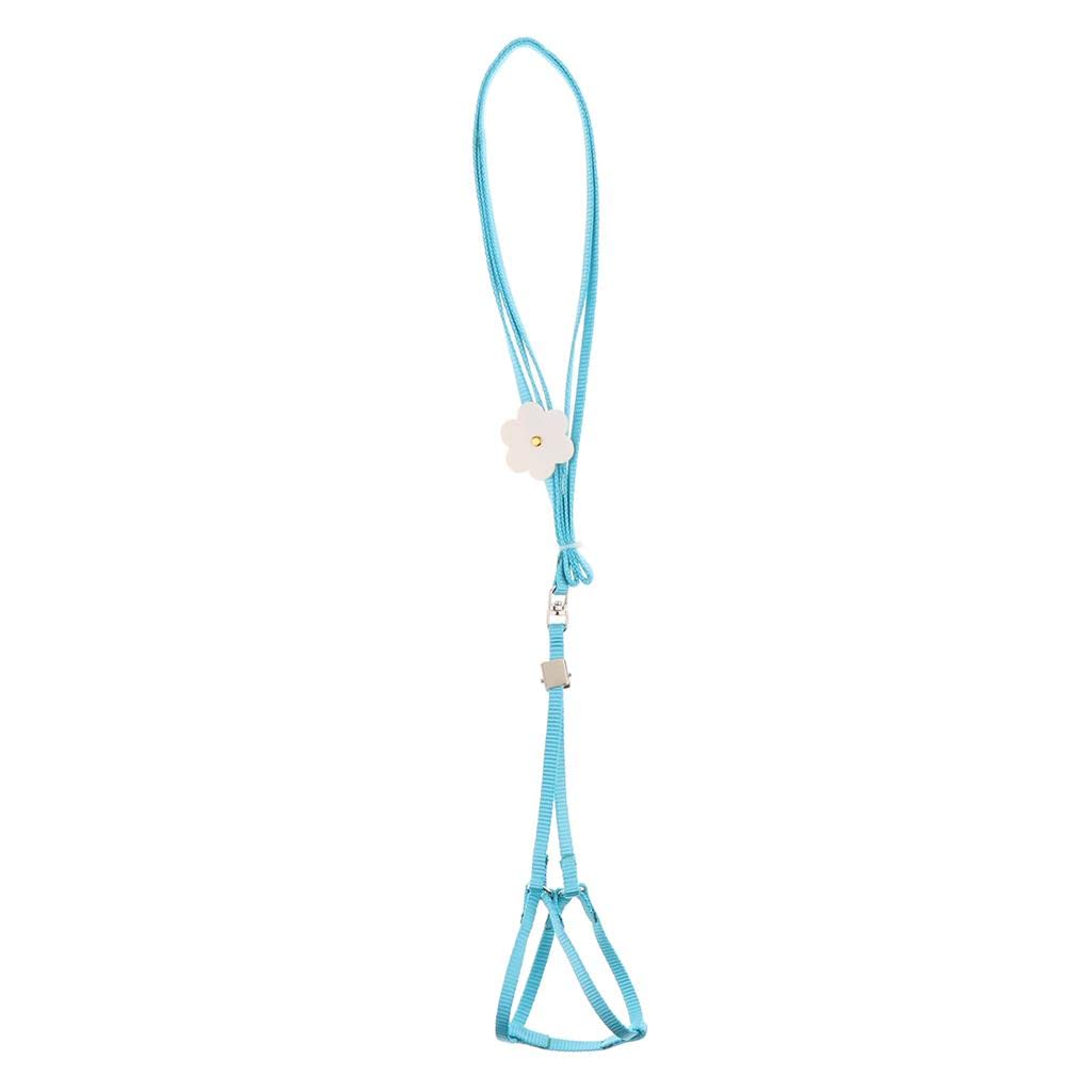 VMS INDIAOutdoor Parrot Rope Pet Leash Adjustable Bird Harness S Blue (B09HS8R7B9) Amazon Price History, Amazon Price Tracker