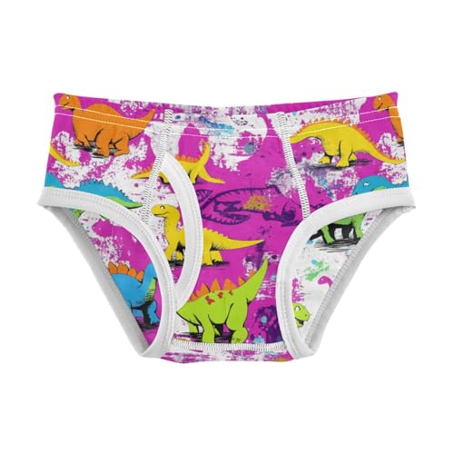 Wusikd Colorful Dinos Boys' Underwear Cotton Cute Boys Briefs Soft Toddler Underwear 2T