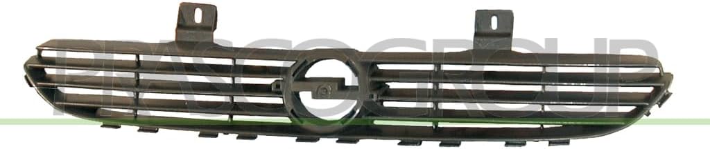 OP0292001 Radiator Grille