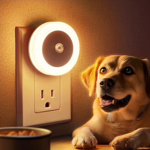 Best DementiaFriendly Night Lights AlzheimersLab