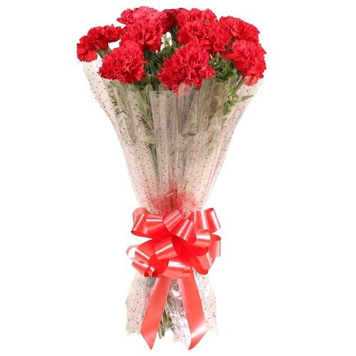 Radiant Red Carnations For Anniversary Gift, Birthday Gift, Wedding Gift, Congratulations Gift, Mother's Day Gift (Same Day Delivery)-image-3